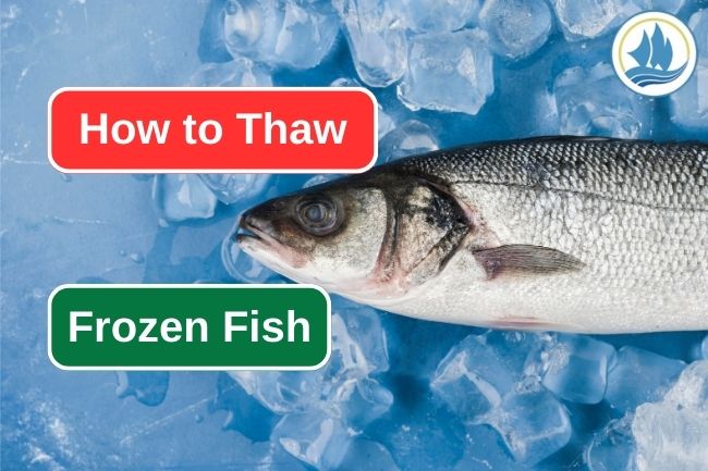 How To Thaw Frozen Fish Properly